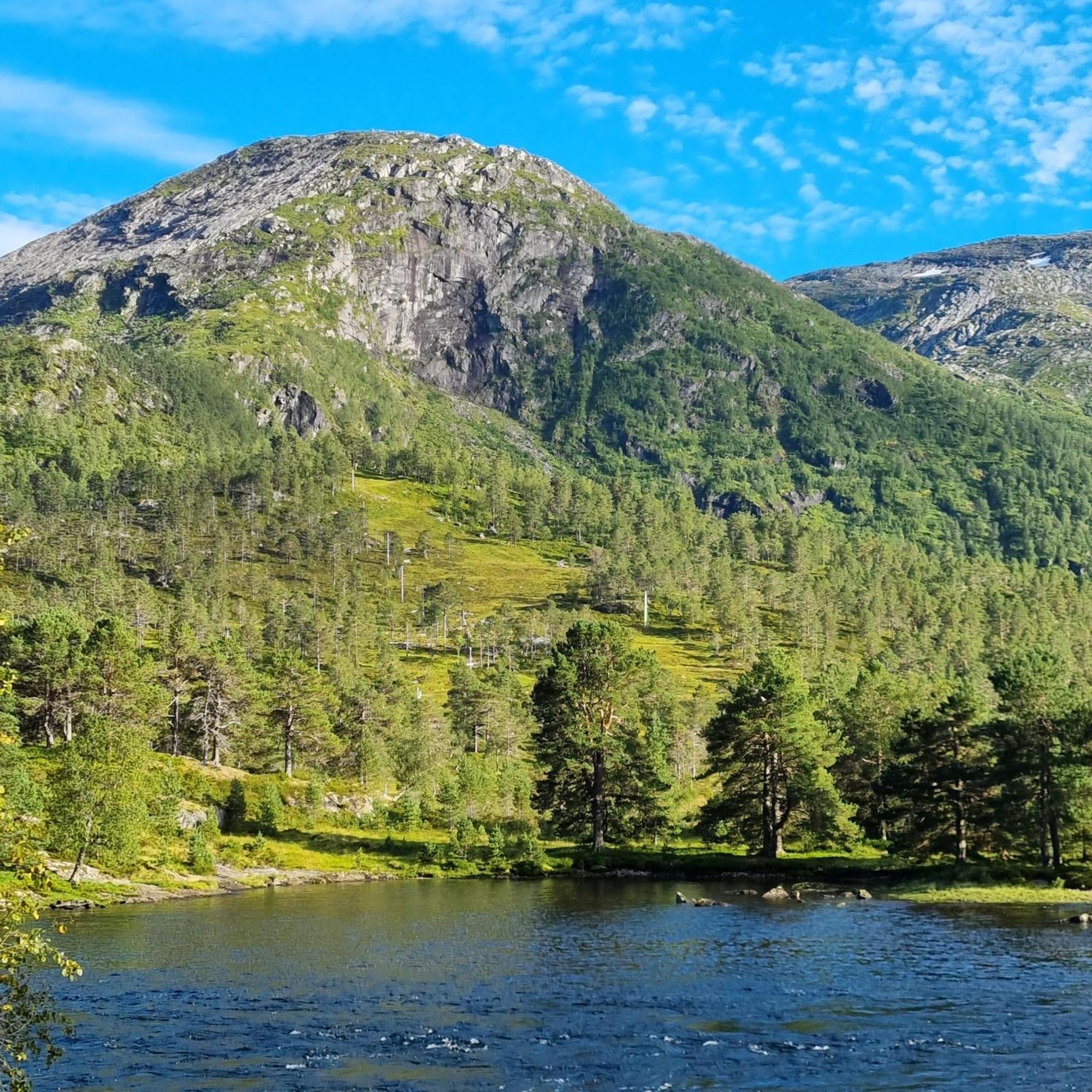 Hotel Flatheim Glamping Viksdalen Exterior foto